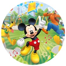 26433R disc vafa Mickey Mouse D20cm